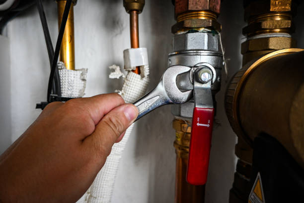 Best Plumbing Inspection Services  in Palmer Lake, CO